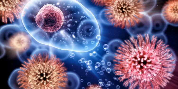 Co znamená přesycený imunitní systém?