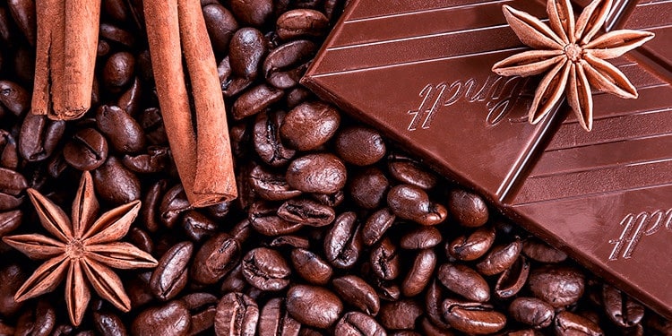 Čokoláda a theobromin – parťák kofeinu pro den plný energie