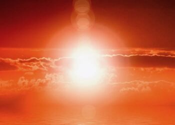Vitamín D