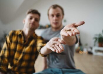 Co jsou to adaptogeny, nootropika a medicinální houby?