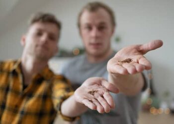 Praktiky pro dosahování cílů, lepší soustředění a paměť